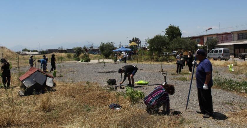 Foto Purificar la tierra